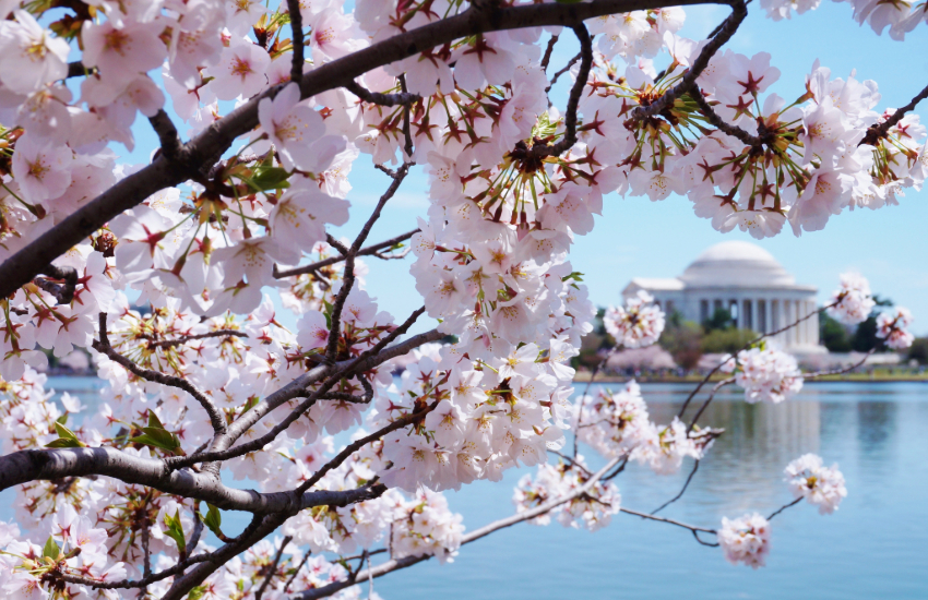 spring bucket list