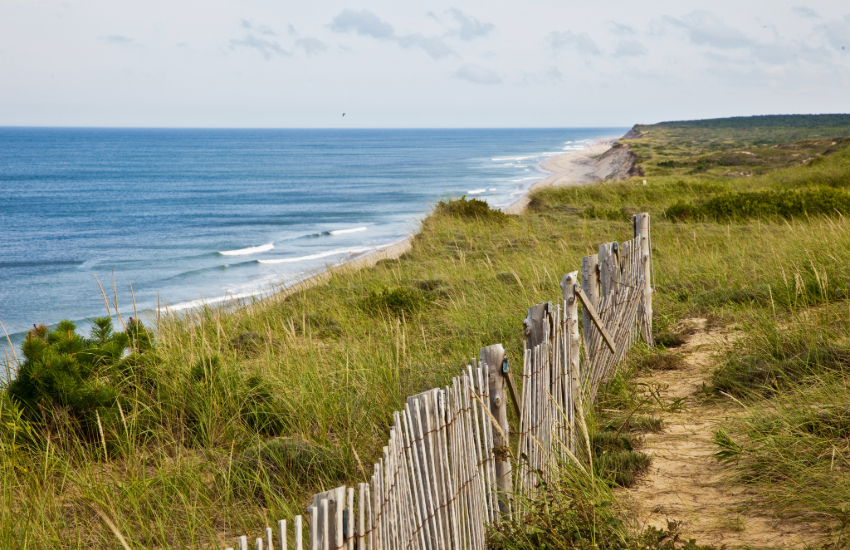 Cape Cod
