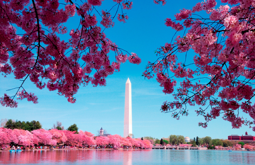Washington DC