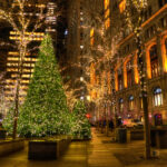 best christmas vacations