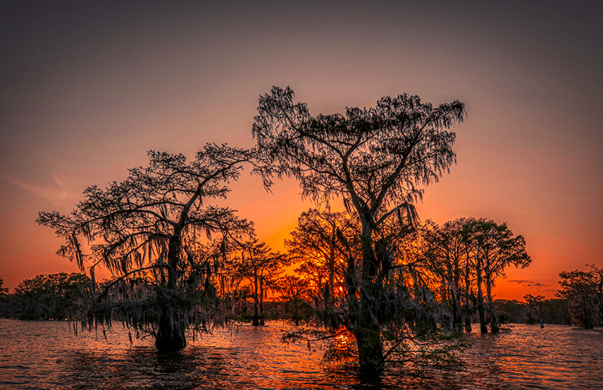 Atchafalaya Basin, Louisiana