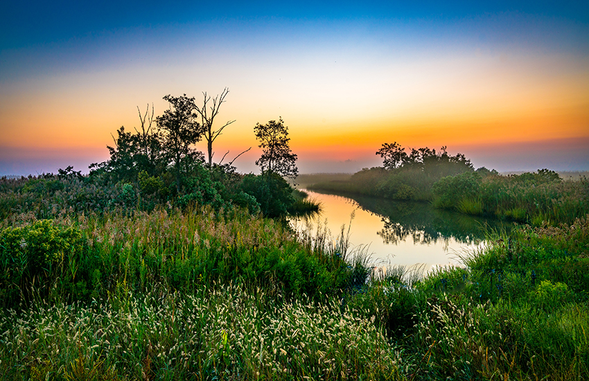 Bombay Hook National Wildlife Refuge, Delaware
