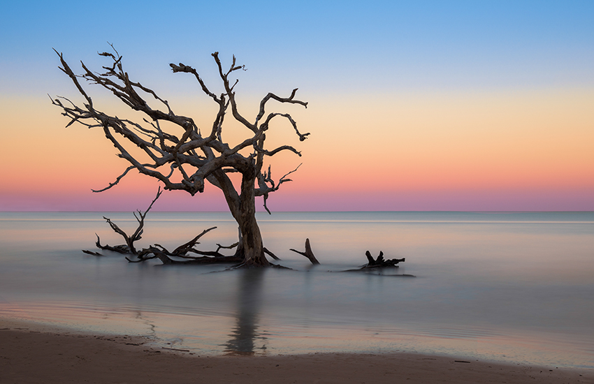 Driftwood Beach off Beachview Drive on Jekyll Island