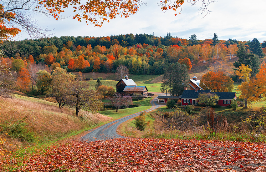 Beautiful Fall colors with farm house in Jenne Farm, Vermont