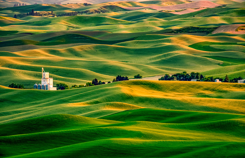 The Palouse, Idaho