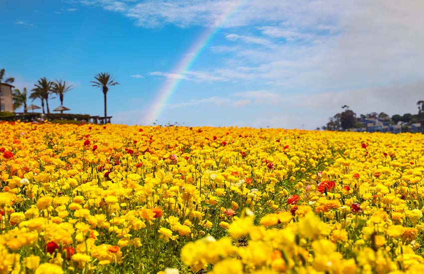 Carlsbad, California