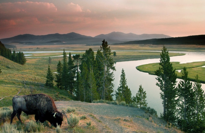 Yellowstone National Park