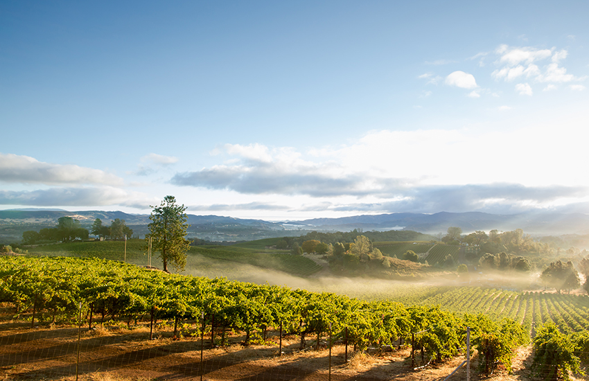 Napa Valley California, Memorial Day Weekend Getaway